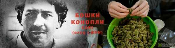 эйфоретик Белокуриха