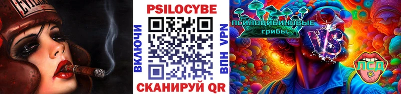 купить  сайты  Еманжелинск  Псилоцибиновые грибы прущие грибы 